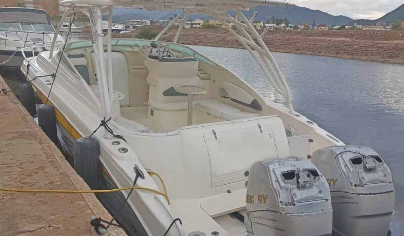 
								PROMARINE EXPRESS 34 full									