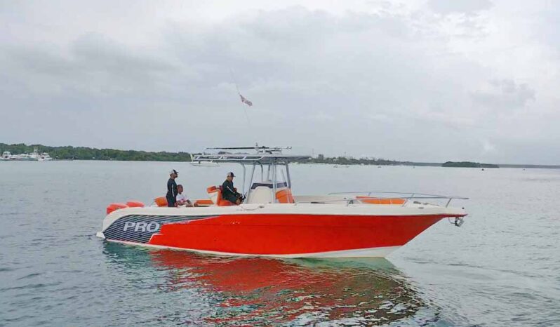 PROMARINE OPEN 33, VENTA DE PROMARINE OPEN 33, PROMARINE OPEN 33 DE REPUBLICA DOMINICANA