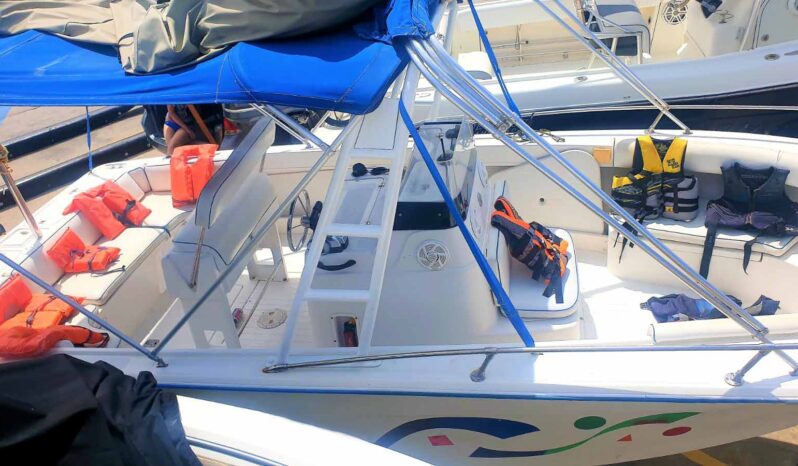 
								RUBHER MARINE 24 full									