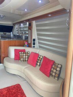 
										SEA RAY SEDAN BRIDGE 55 full									