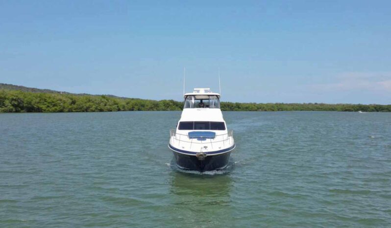 
								SEA RAY SEDAN BRIDGE 55 full									