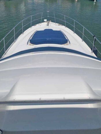 
								SEA RAY SEDAN BRIDGE 55 full									