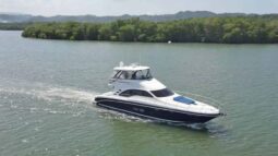 
										SEA RAY SEDAN BRIDGE 55 full									