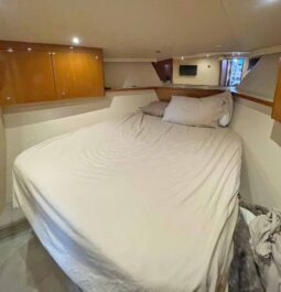 
										VIKING CONVERTIBLE 45 full									