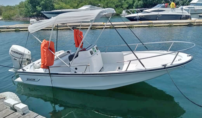 BOSTON WHALER OPEN 15, VENTA DE BOSTON WHALER OPEN 15, BOSTON WHALER OPEN 15 DE TUCACAS