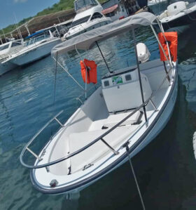 BOSTON WHALER OPEN 15