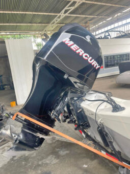 
										BOTE TRITON TS 18 full									