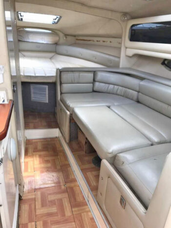 
								CHAPARRAL SIGNATURE 31 full									