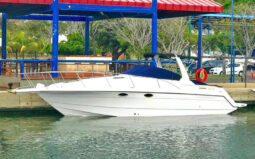 
										CHAPARRAL SIGNATURE 31 full									