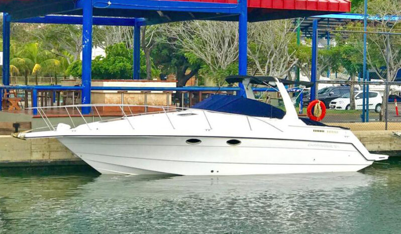 
								CHAPARRAL SIGNATURE 31 full									