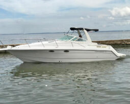 
										CHAPARRAL SIGNATURE 31 full									