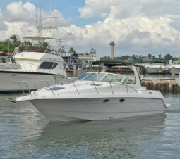 
										CHAPARRAL SIGNATURE 31 full									