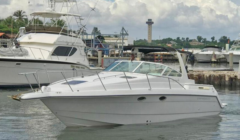 
								CHAPARRAL SIGNATURE 31 full									