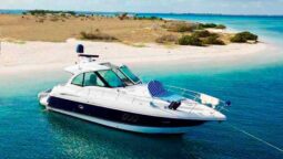 CRUISERS YACHTS SPORTS COUPE 42, VENTA DE CRUISERS YACHTS SPORTS COUPE 42, CRUISERS YACHTS SPORTS COUPE 42 DE TUCACAS