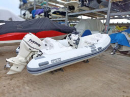 
										DINGHY CARIBE DL 15 full									