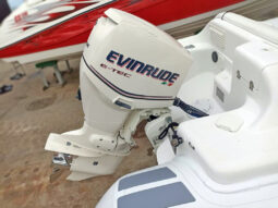 
										DINGHY CARIBE DL 15 full									