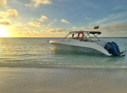 
										INTERMARINE SPORT 350 full									