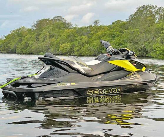 
								MOTO SEA DOO RXT 260 full									