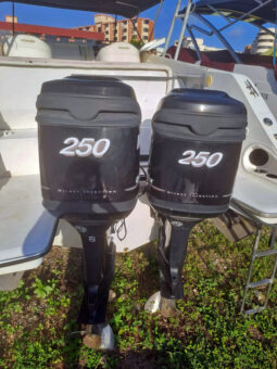 
										PAREJA MERCURY OPTIMAX 250HP full									