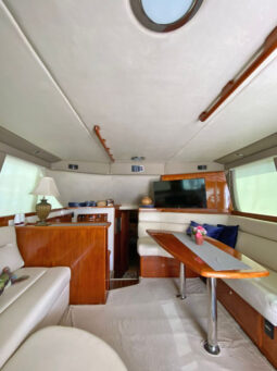 
										RIVIERA 41 full									