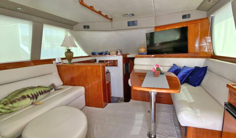 
								RIVIERA 41 full									