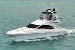 SEA RAY SEDAN BRIDGE 44, VENTA DE SEA RAY SEDAN BRIDGE 44, SEA RAY SEDAN BRIDGE 44 DE MORROCOY