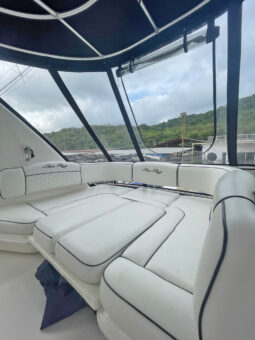 
										SEA RAY SEDAN BRIDGE 44 full									