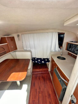 
										SEA RAY SUNDANCER 280 28 full									