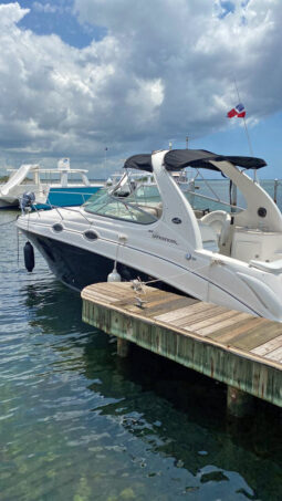 
										SEA RAY SUNDANCER 280 28 full									