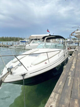 
										SEA RAY SUNDANCER 280 28 full									