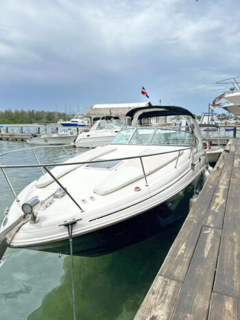 
								SEA RAY SUNDANCER 280 28 full									