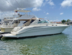 SEA RAY SUNDANCER 450, VENTA DE SEA RAY SUNDANCER 450, SEA RAY SUNDANCER 450 DE LECHERIA