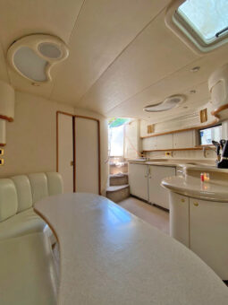 
										SEA RAY SUNDANCER 450 full									