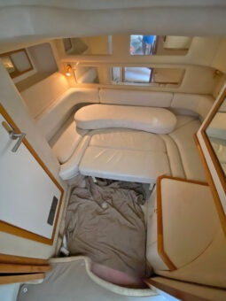 
										SEA RAY SUNDANCER 450 full									