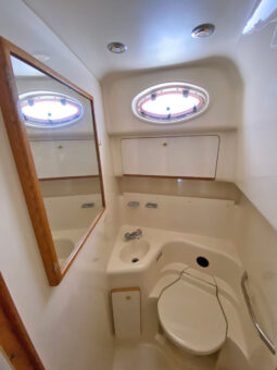 
										SEA RAY SUNDANCER 450 full									