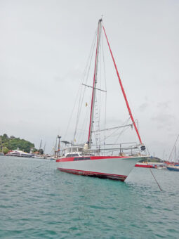 
										VELERO MONOCASCO 42 full									