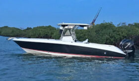 WELLCRAFT SCARAB 30