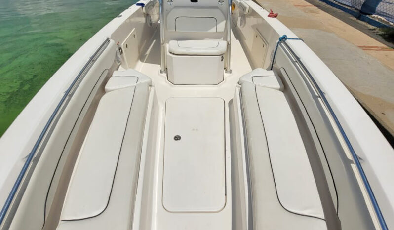 
								WELLCRAFT SCARAB 30 full									