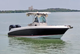 WELLCRAFT SCARAB 30