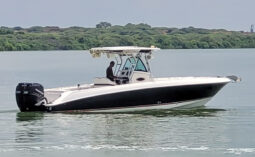 
										WELLCRAFT SCARAB 30 full									