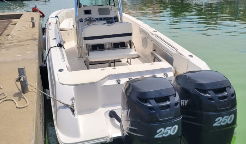 
								WELLCRAFT SCARAB 30 full									