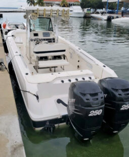 
										WELLCRAFT SCARAB 30 full									