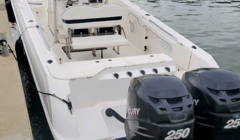 
								WELLCRAFT SCARAB 30 full									