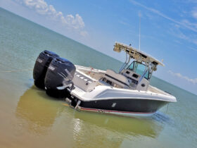 WELLCRAFT SCARAB 30