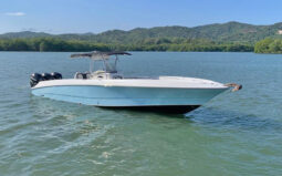 
										WELLCRAFT SCARAB 35 full									