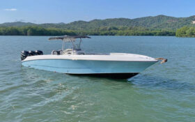 WELLCRAFT SCARAB 35