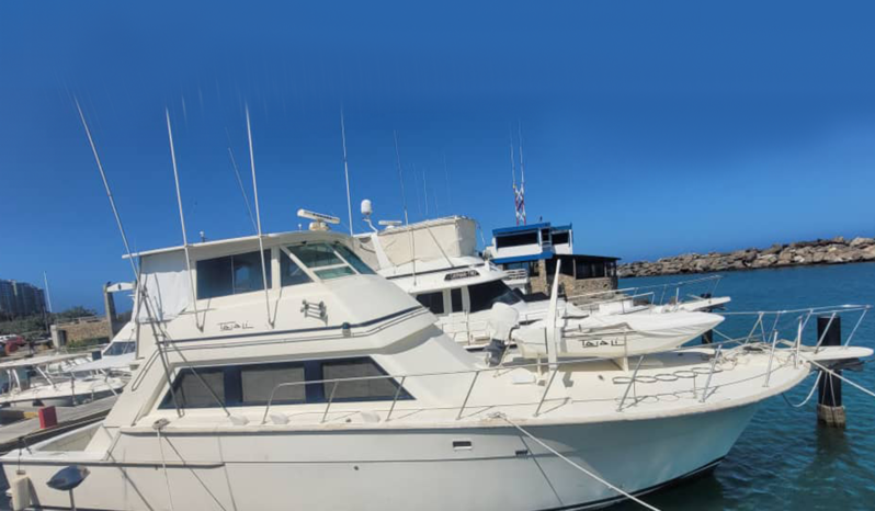 
								BERTRAM SPORT FISHERMAN 58 full									