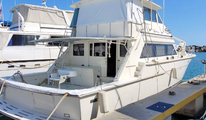 
								BERTRAM SPORT FISHERMAN 58 full									