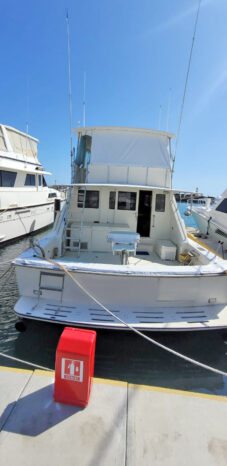 
								BERTRAM SPORT FISHERMAN 58 full									