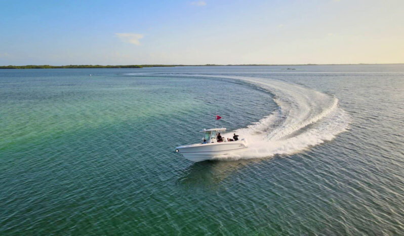 
								BOSTON WHALER 280 OUTRAGE 28 full									